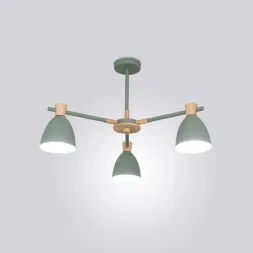 Потолочная люстра Imperium Loft Folke 178025-26