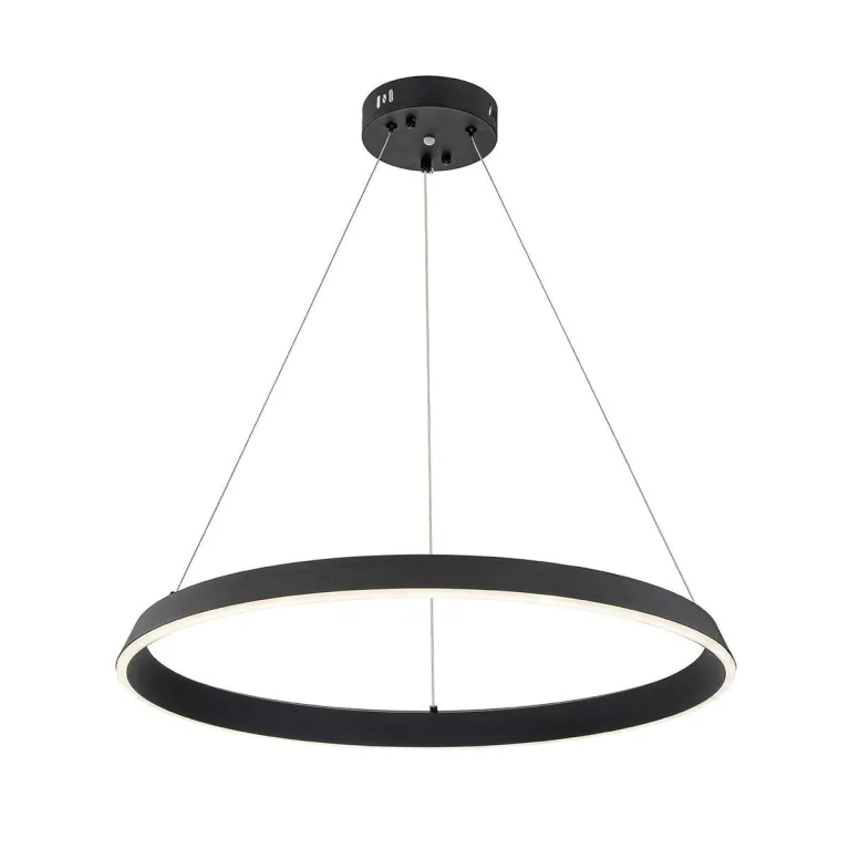 Подвесной светодиодный светильник Indigo Orta 14019/1P Black V000090L в Нижнем Новгороде