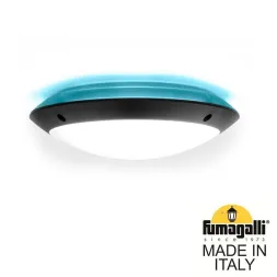 Уличный настенный светильник Fumagalli Lucia 1R3.000.000.AYE27BU1