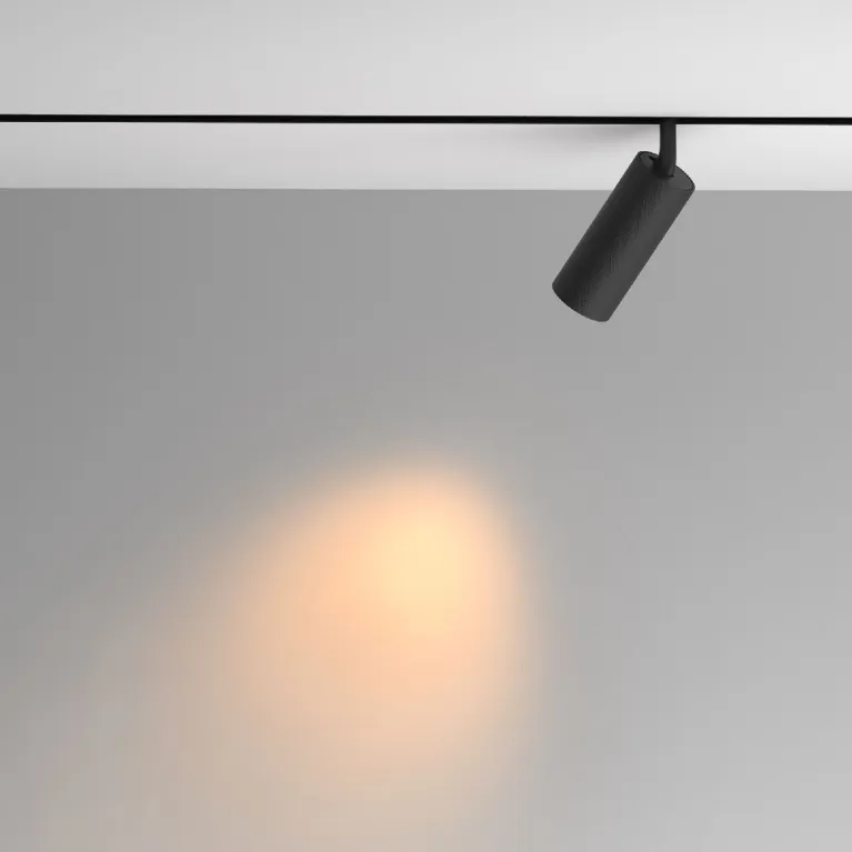Трековый магнитный светильник Maytoni Artisan TR097-2-12W2.7K-M-BB в Нижнем Новгороде