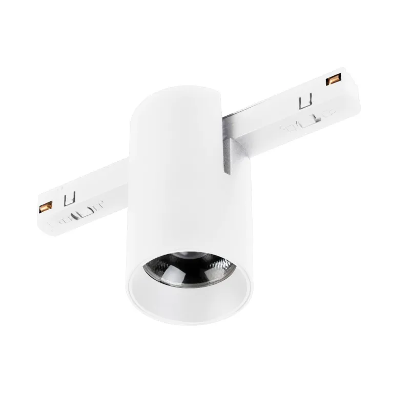 Трековый магнитный светильник Arlight MAG-ORIENT-AXIO-R60-10W Day4000 (WH, 24 deg, 48V) 059254 в Нижнем Новгороде