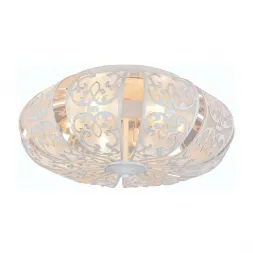 Потолочный светильник Arte Lamp A5116PL-6WG
