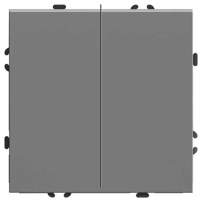Переключатель 2-клавишный Stekker Эмили RSW10-5107-10 49947 в Нижнем Новгороде