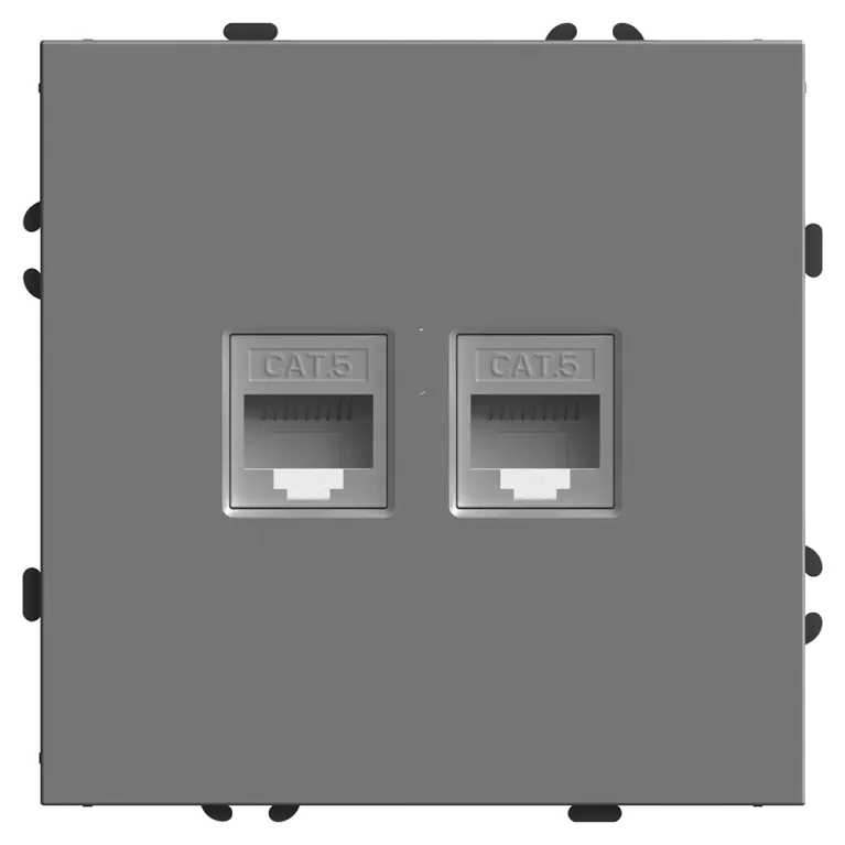 Розетка компьютерная 2-местная RJ-45 Stekker Эмили RST00-5111-10 49952 в Нижнем Новгороде