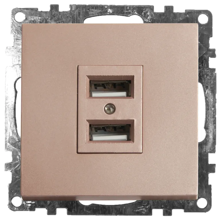 Розетка USB 2-местная Stekker Катрин 39602 в Нижнем Новгороде