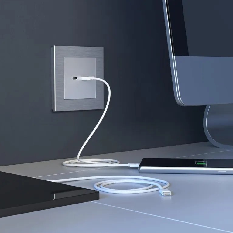 Розетка USB Werkel тип A+С серебряный W1171806 4690389171383 в Нижнем Новгороде