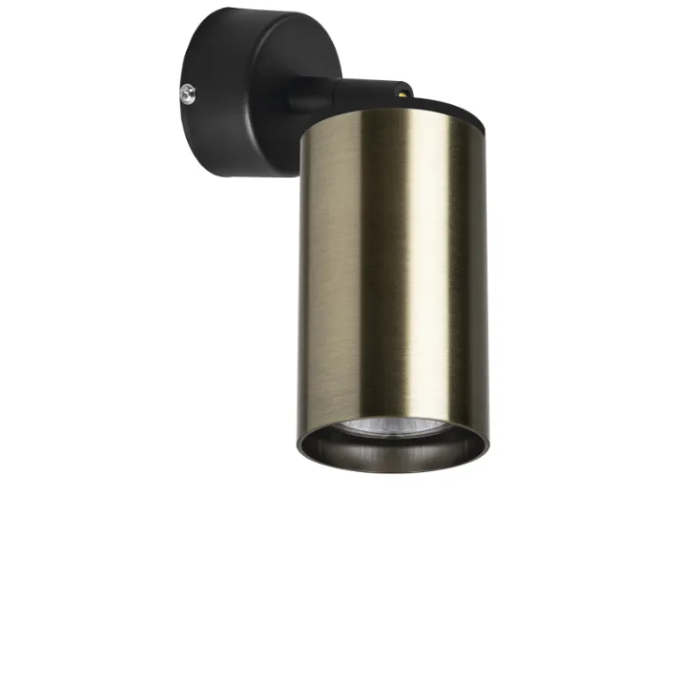 Встраиваемый спот Lightstar Rullo RB431 (214431+590007) в Нижнем Новгороде