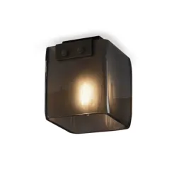 Потолочный светильник Delight Collection Malbridge 5061C black/smoky