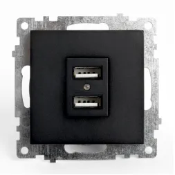 Розетка USB 2-местная Stekker Катрин 39616