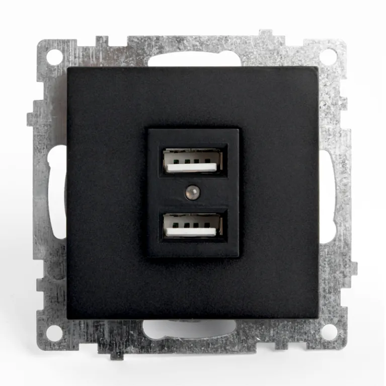 Розетка USB 2-местная Stekker Катрин 39616 в Нижнем Новгороде