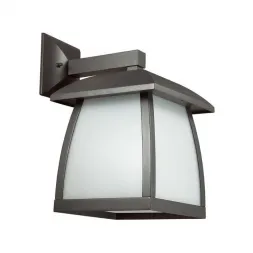 Уличный настенный светильник Odeon Light Tako 4050/1W