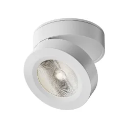 Накладной спот Maytoni Magic C022CL-12W4K-W-1