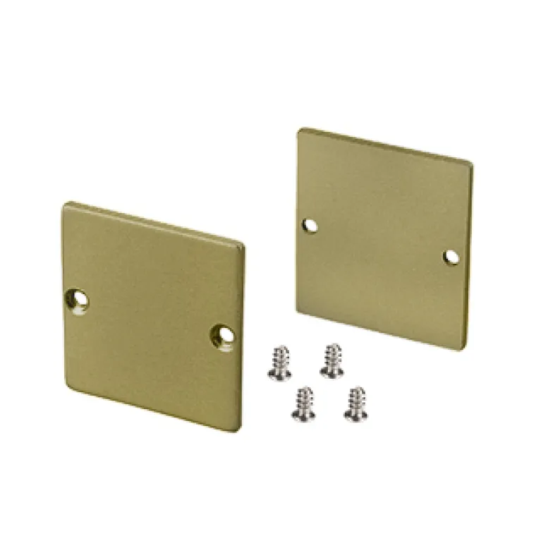 Заглушка Arlight SL-LINE-3638-LW GOLD глухая 039983 в Нижнем Новгороде