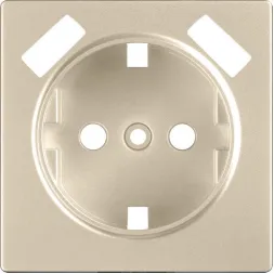 Лицевая панель розетки USB шампань WL11-USB-CP 4690389124693