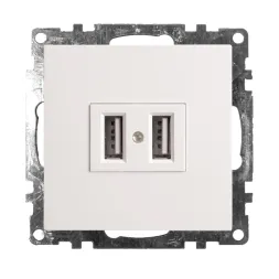 Розетка USB 2-местная Stekker Катрин 39686
