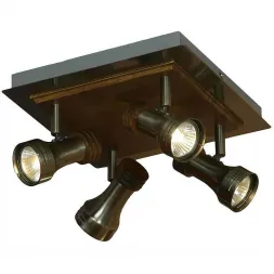Спот Lussole Novara LSL-7101-04