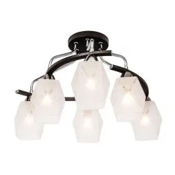 Потолочная люстра Silver Light Trophi 246.59.6