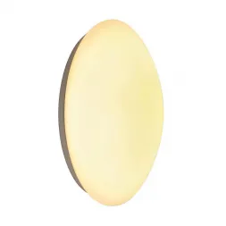 Настенный светодиодный светильник SLV Lipsy 133749