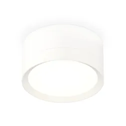 Потолочный светильник Ambrella Light Techno Spot XS8101001 (C8101, N8112)