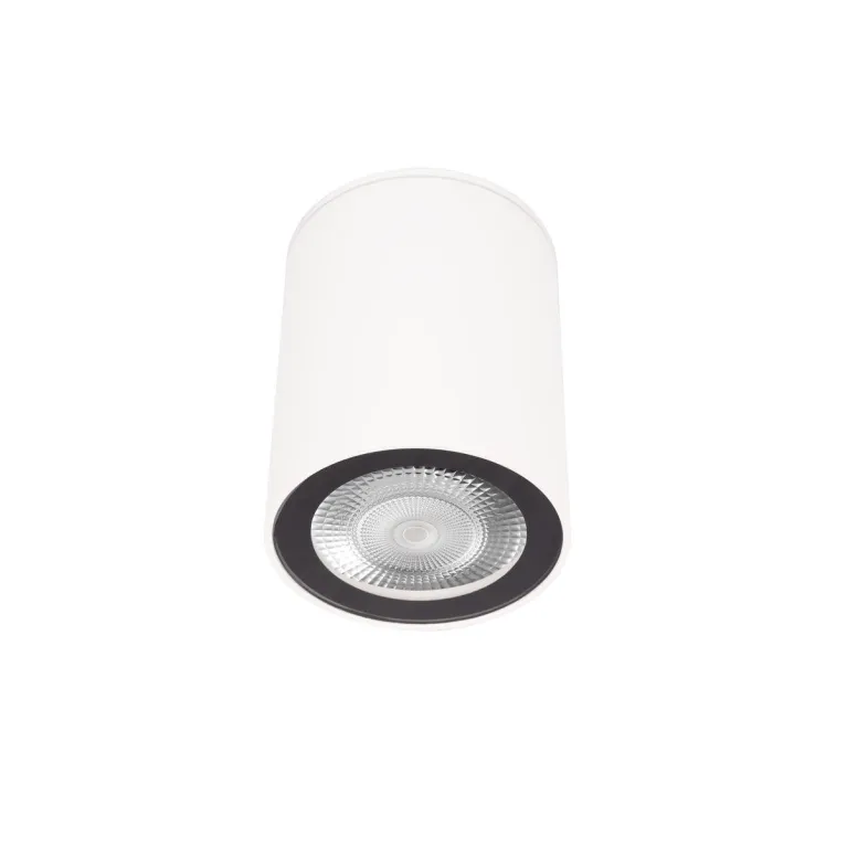 Накладной светильник Loft IT Rush 10344 White в Нижнем Новгороде