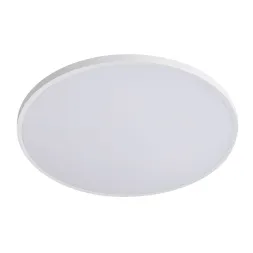 Настенно-потолочный светильник Lightstar Arco Eco 225741