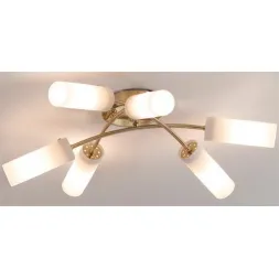 Потолочная люстра Citilux Новелла CL122162