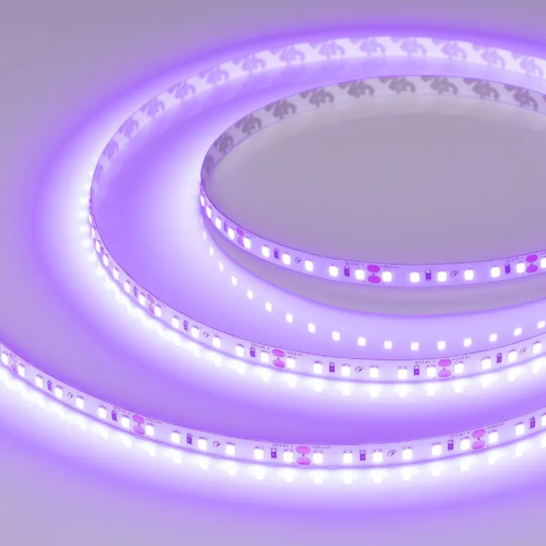 Светодиодная лента Arlight RT-A120-8mm 24V Violet (9.6 W/m, IP20, 2835, 5m) 043384 в Нижнем Новгороде