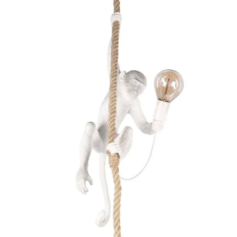 Подвесной светильник Loft IT Monkey 10314P в Нижнем Новгороде