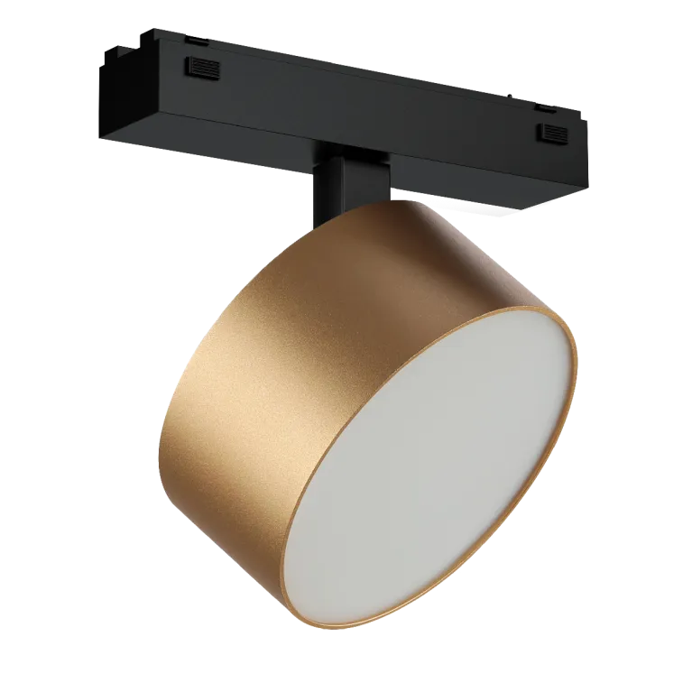 Трековый магнитный светильник iLedex Vision 4825-047-D120-15W-110DG-3000K-SGD в Нижнем Новгороде
