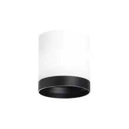 Накладной светильник Lightstar Rullo (213486+203487) R34863487