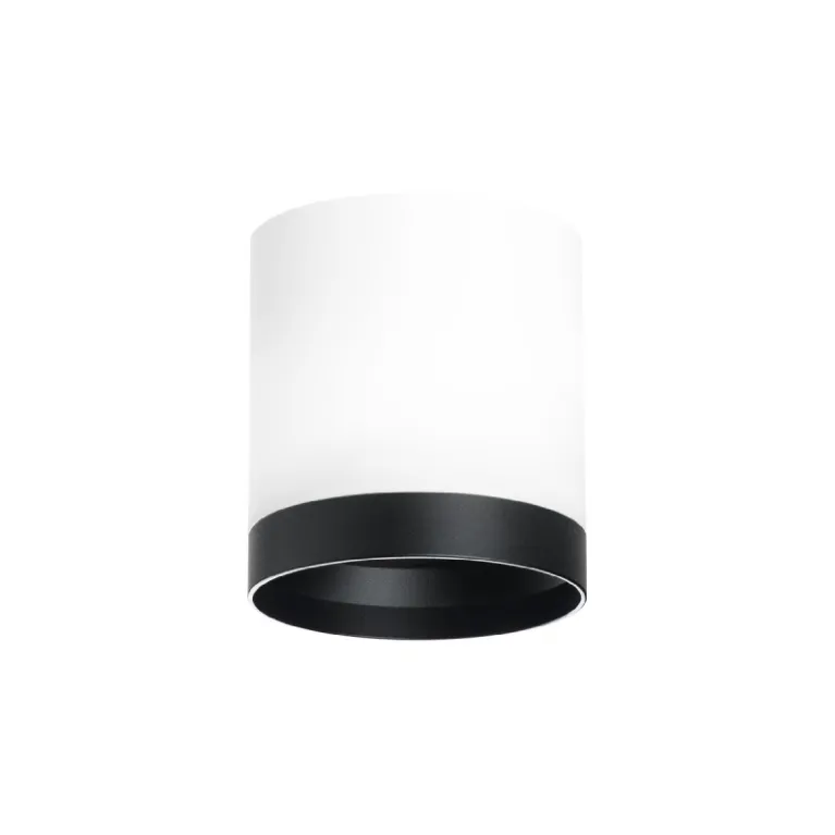 Накладной светильник Lightstar Rullo (213486+203487) R34863487 в Нижнем Новгороде