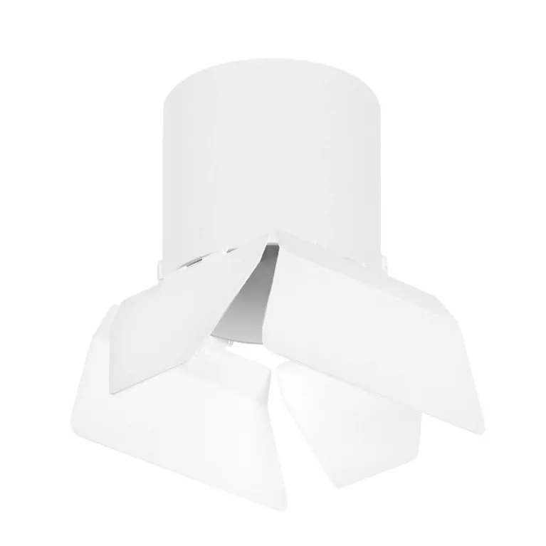Накладной светильник Lightstar Rullo (213486+202486) R3486486 в Нижнем Новгороде