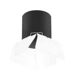 Накладной светильник Lightstar Rullo (213487+202486) R3487486