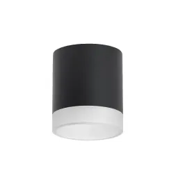 Накладной светильник Lightstar Rullo (213487+202480) R348780