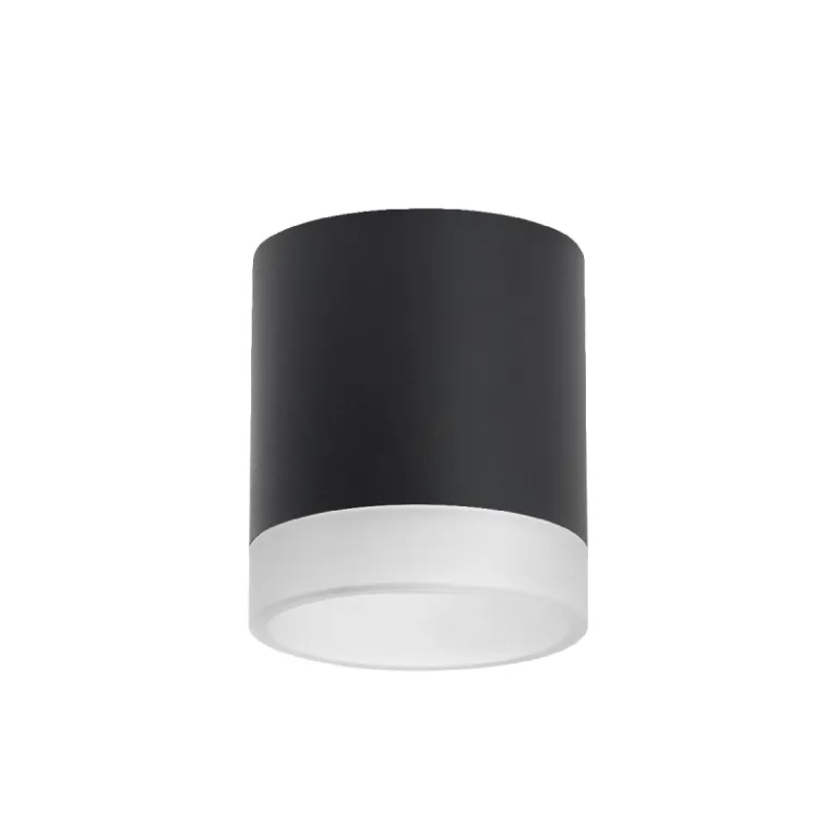 Накладной светильник Lightstar Rullo (213487+202480) R348780 в Нижнем Новгороде