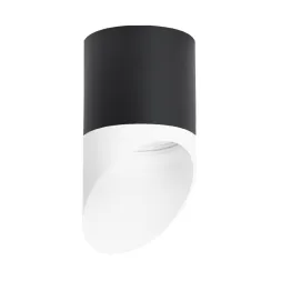 Накладной светильник Lightstar Rullo (213487+201486) R348786