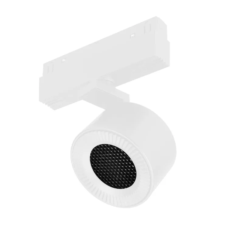 Трековый магнитный светильник Arlight MAG-ORIENT-POINT-R80-12W Day4000 048404 в Нижнем Новгороде