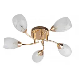 Потолочная люстра Toplight Lucy TL7120X-05FG
