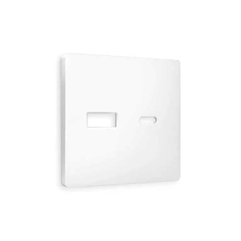 Лицевая панель для розетки 2USB A+C Ambrella Volt Alfa AP1310 в Нижнем Новгороде
