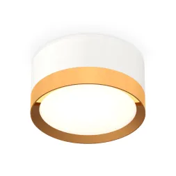 Потолочный светильник Ambrella Light Techno Spot XS8101005 (C8101, N8124)