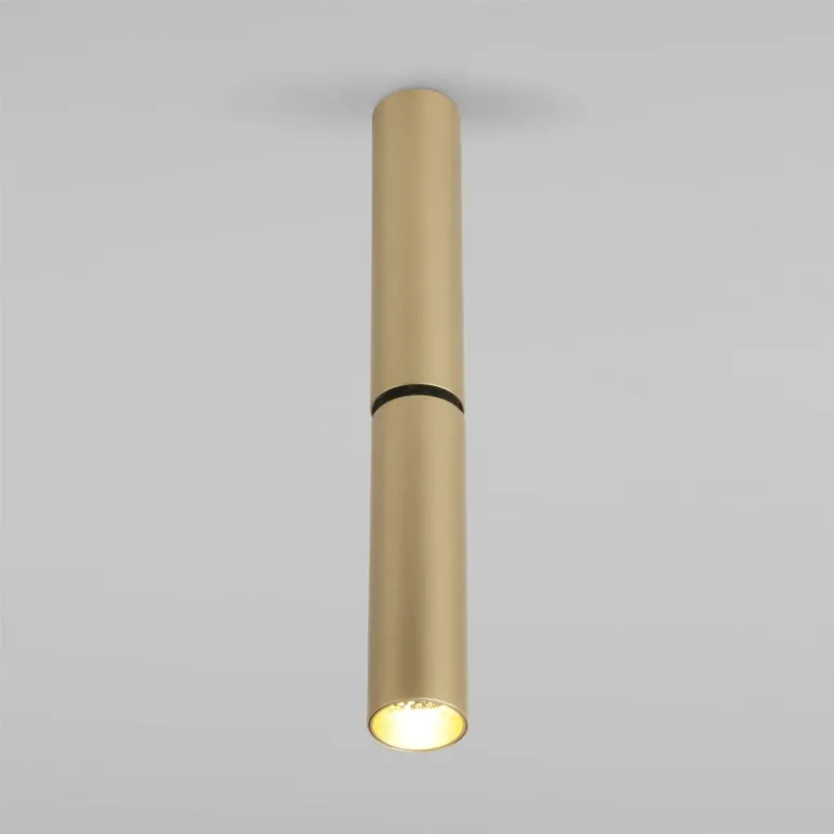 Светодиодный спот Elektrostandard Pika 25029/Led золото a061110 в Нижнем Новгороде