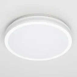 Потолочный светильник Citilux Luns CL711020V