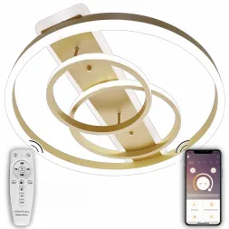 Потолочная люстра Natali Kovaltseva LED LAMPS 81302