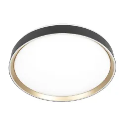 Потолочный светильник Citilux Boss CL751451G