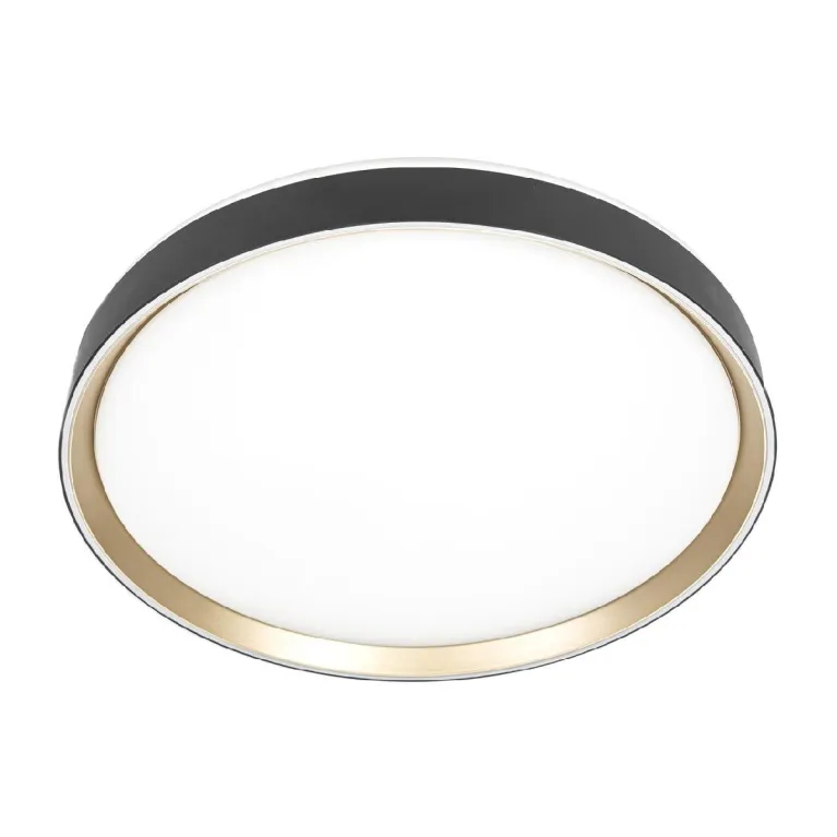 Потолочный светильник Citilux Boss CL751451G в Нижнем Новгороде