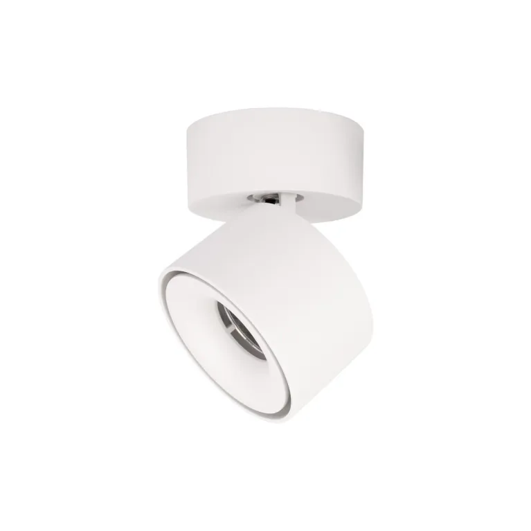 Накладной спот Loft IT Focus 10323/A White в Нижнем Новгороде