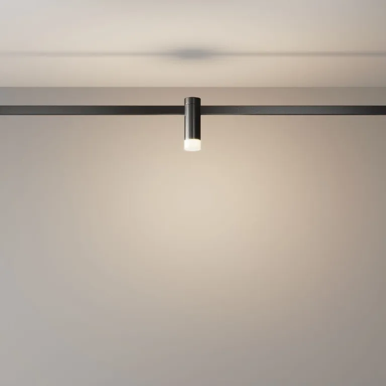 Трековый светильник Maytoni Skim TR145-1-3W3K-W-B в Нижнем Новгороде