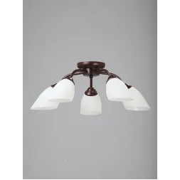 Потолочная люстра Vitaluce V3252/5PL