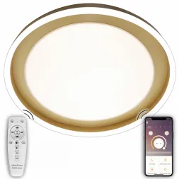 Потолочная люстра Natali Kovaltseva LED LAMPS 81301