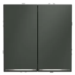 Выключатель двухклавишный с подсветкой Voltum S70 VLS020206